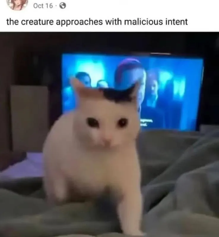 Untitled meme