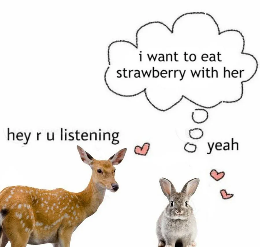 Untitled meme
