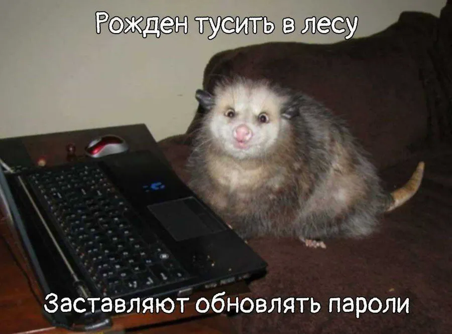 Untitled meme