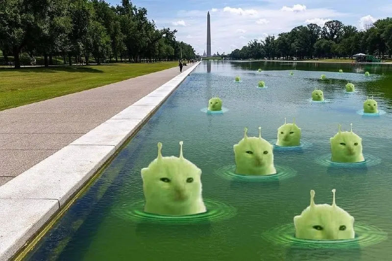 Untitled meme