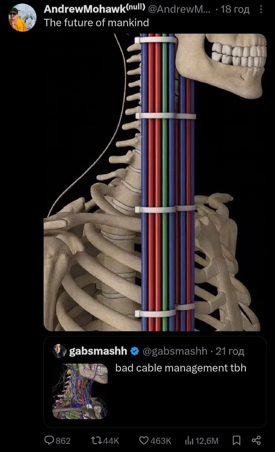 Untitled meme