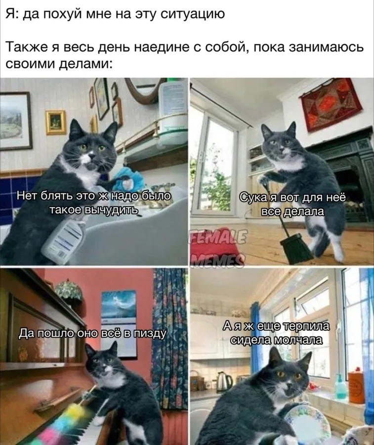 Untitled meme