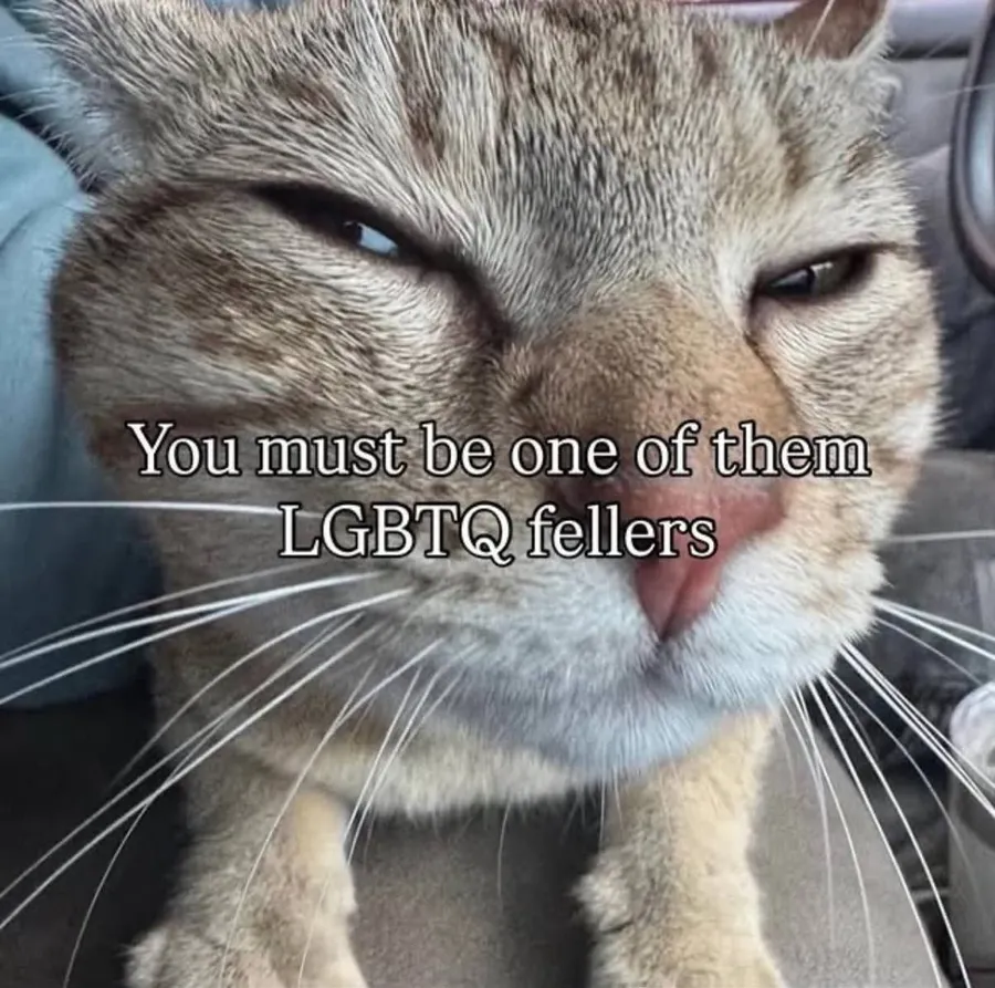 Untitled meme