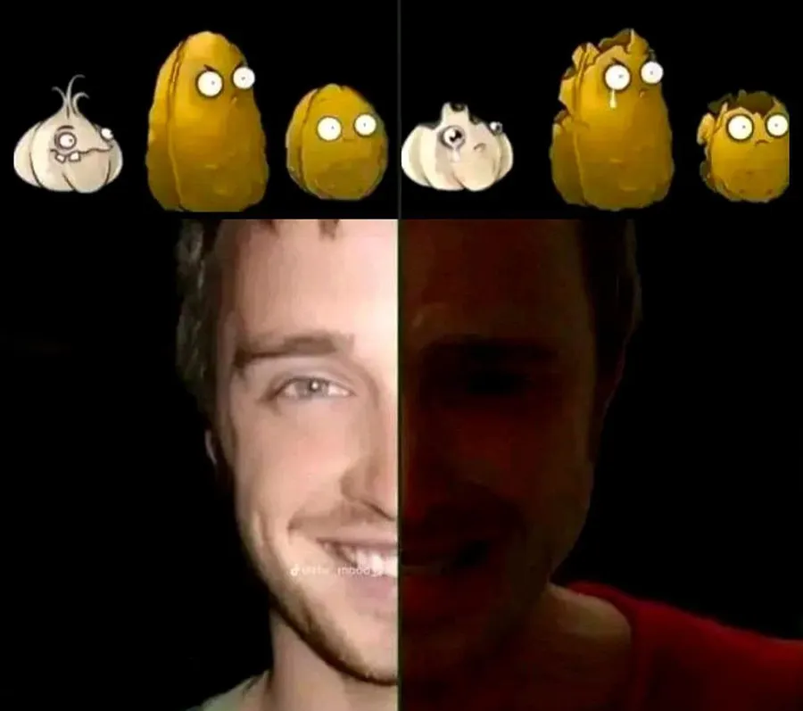 Untitled meme