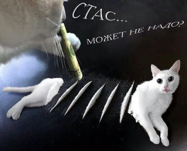 Untitled meme