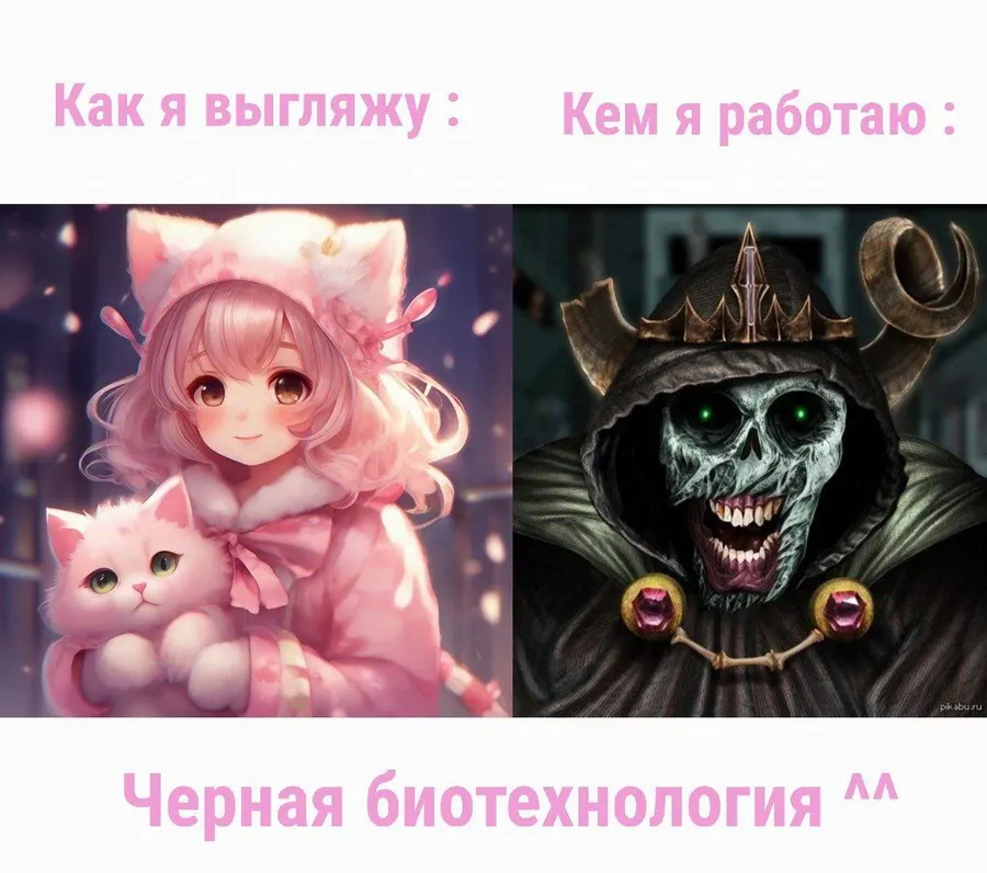 Untitled meme