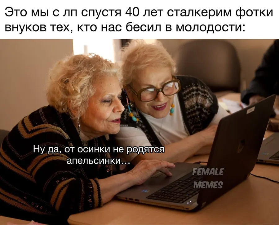 Untitled meme