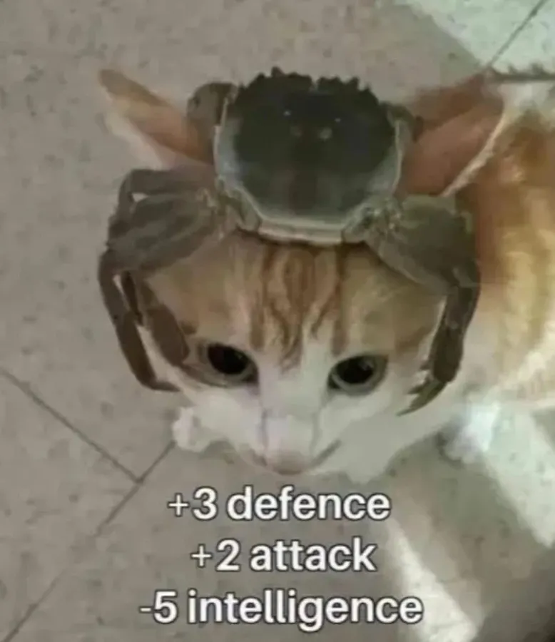 Untitled meme