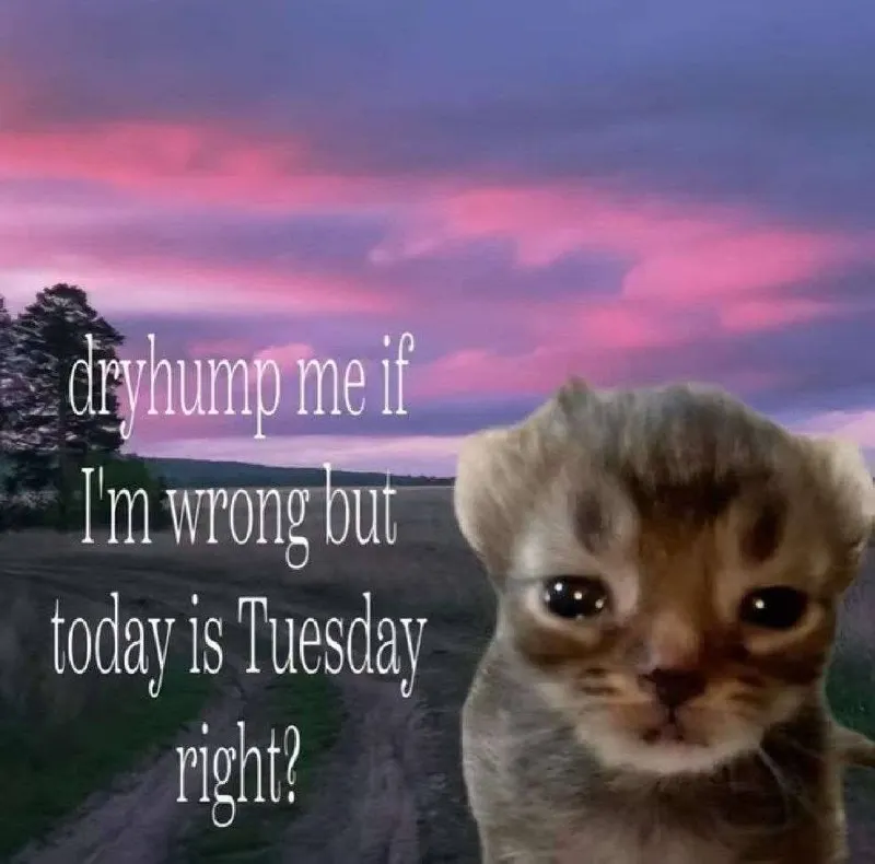 Untitled meme