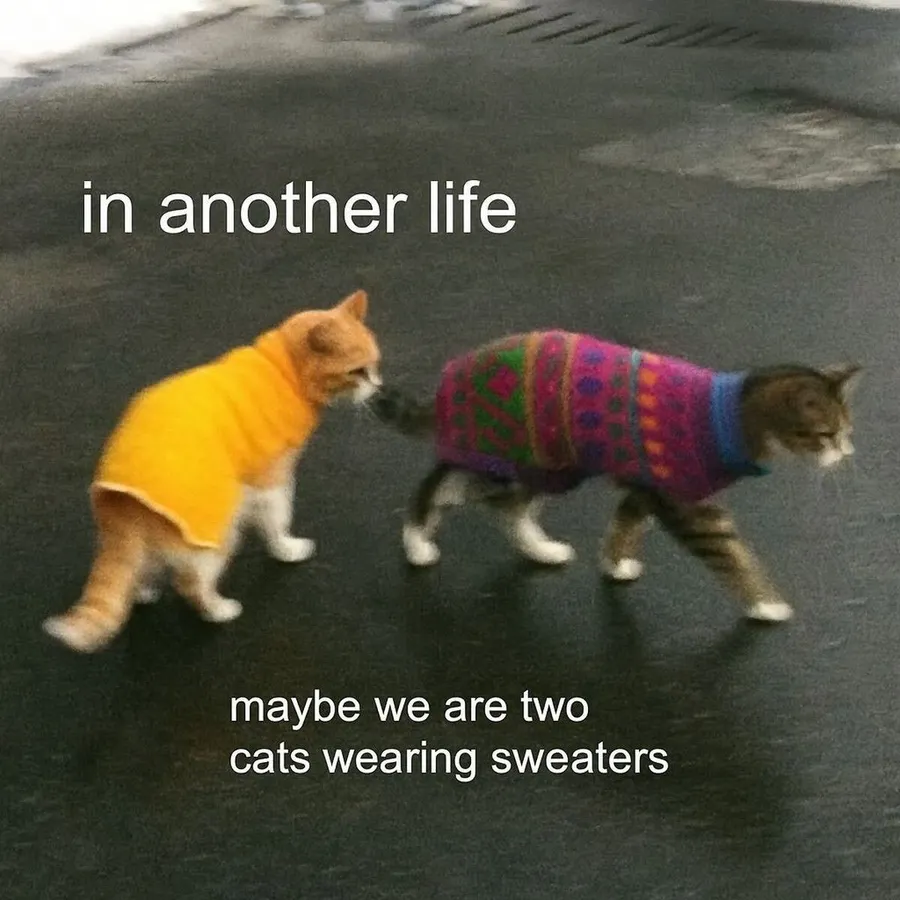 Untitled meme