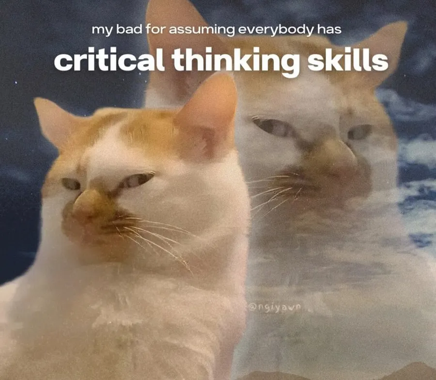 Untitled meme