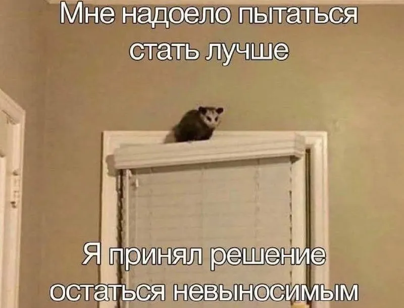 Untitled meme