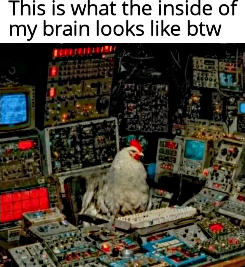 Untitled meme