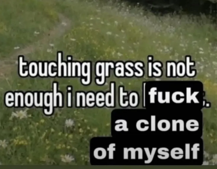 Untitled meme