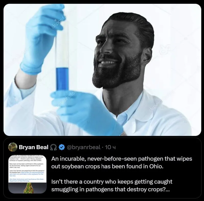 Untitled meme