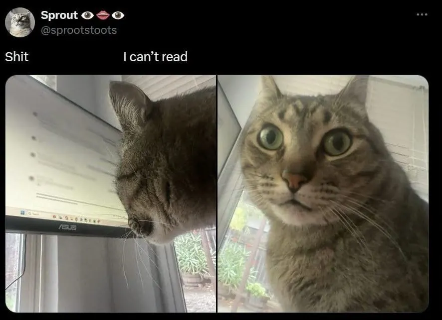 Untitled meme