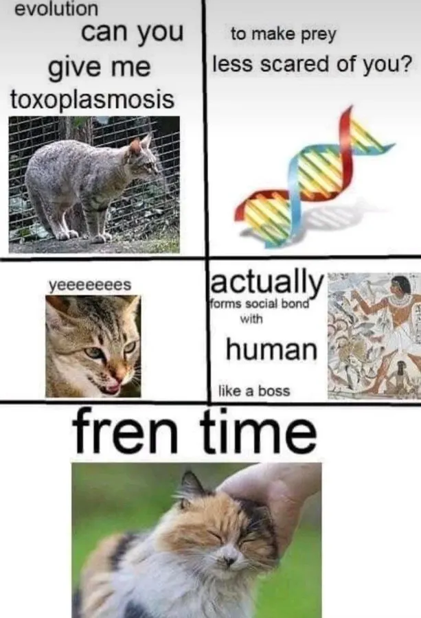 Untitled meme