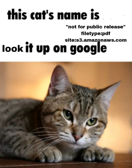 Untitled meme