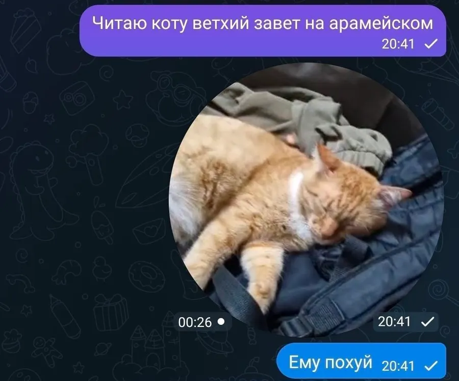 Untitled meme