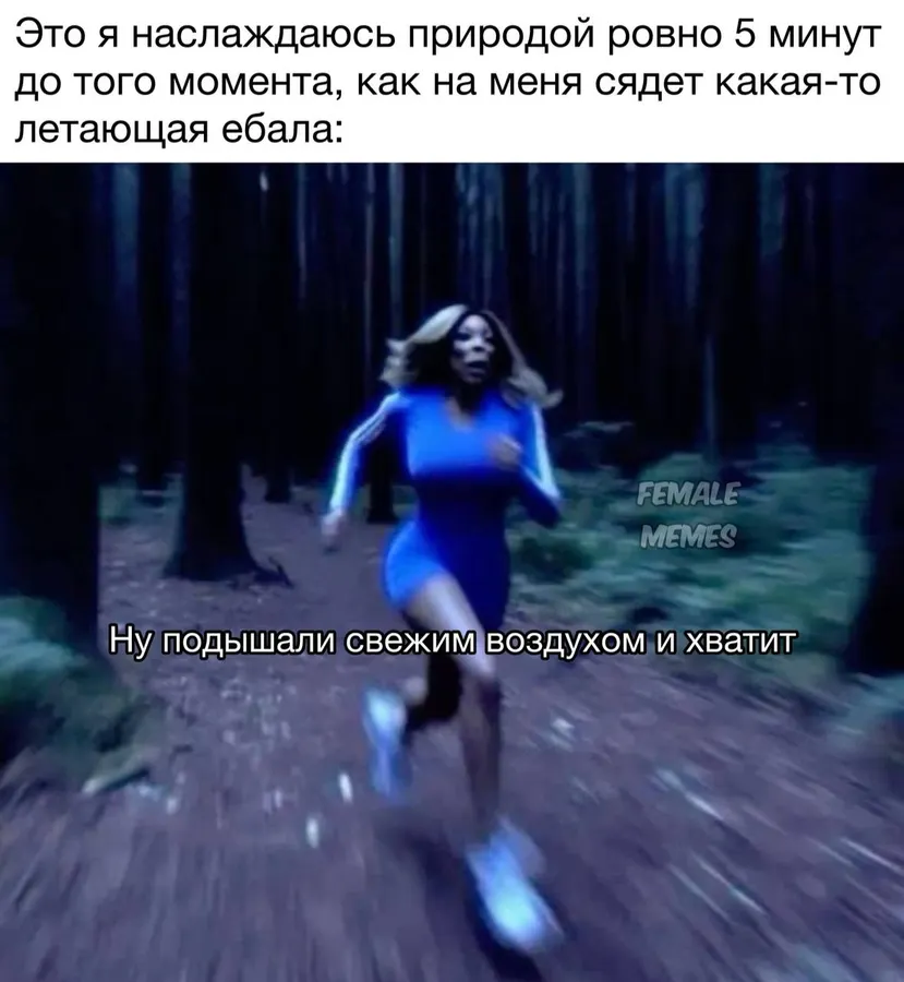 Untitled meme
