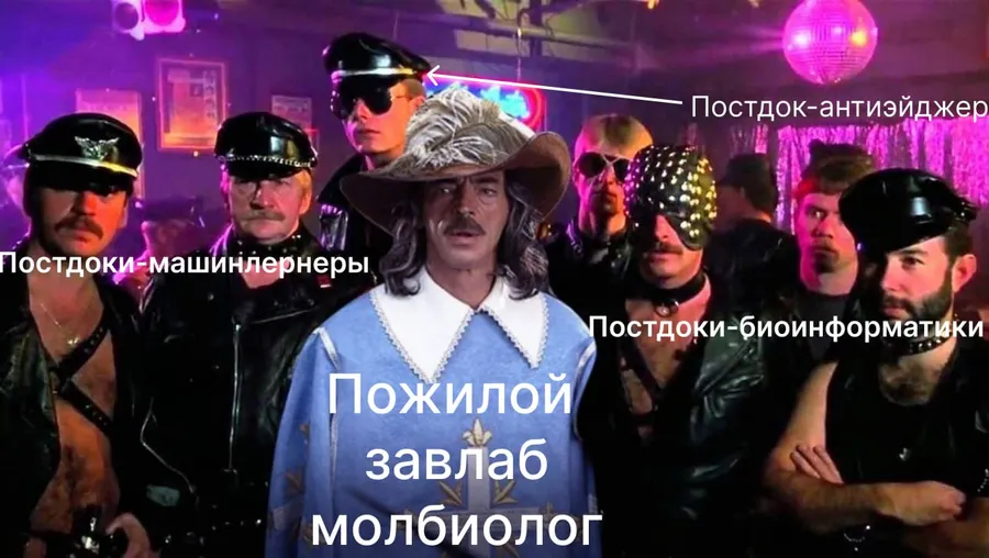Untitled meme
