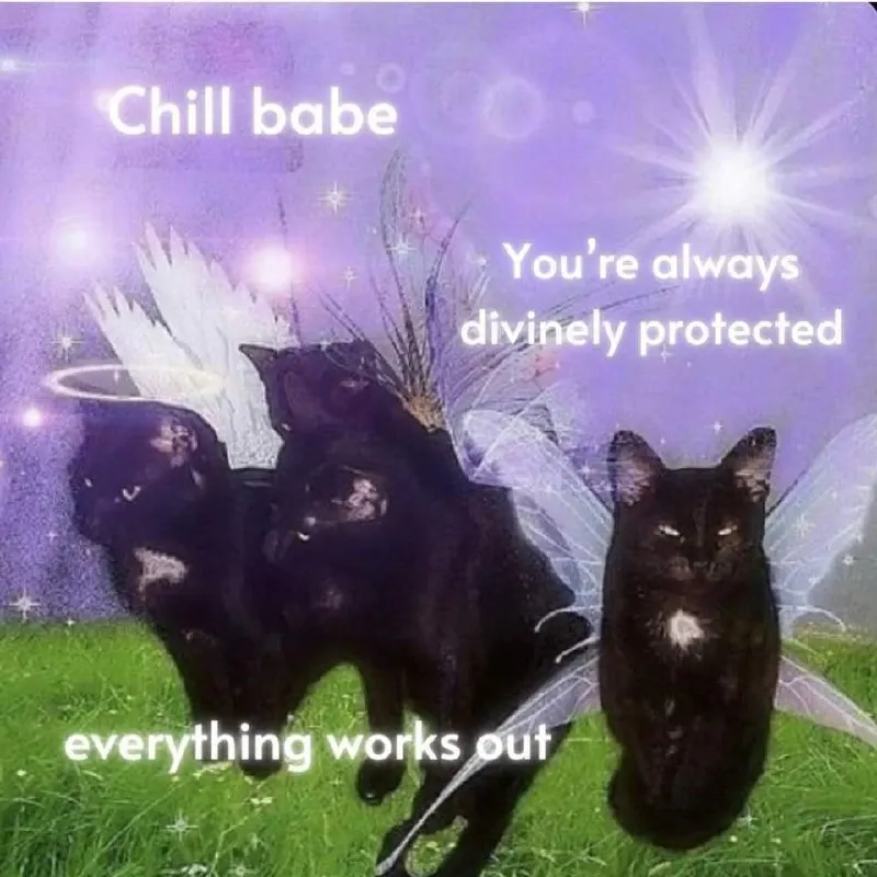 Untitled meme
