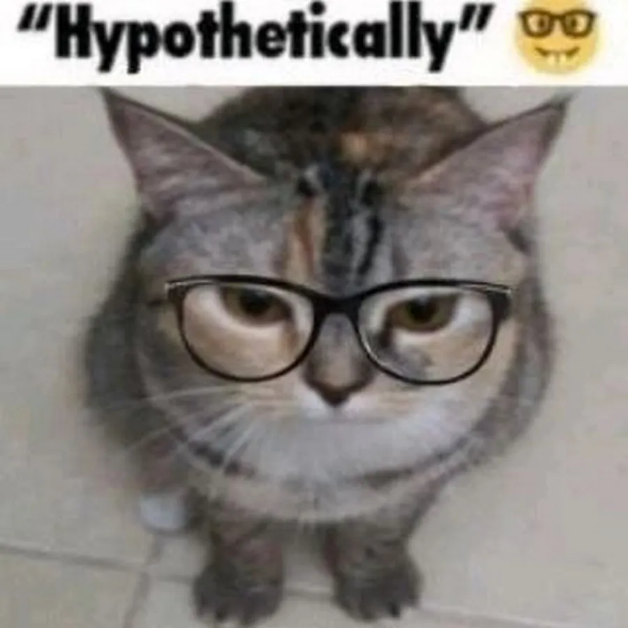 Untitled meme
