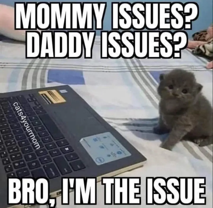 Untitled meme