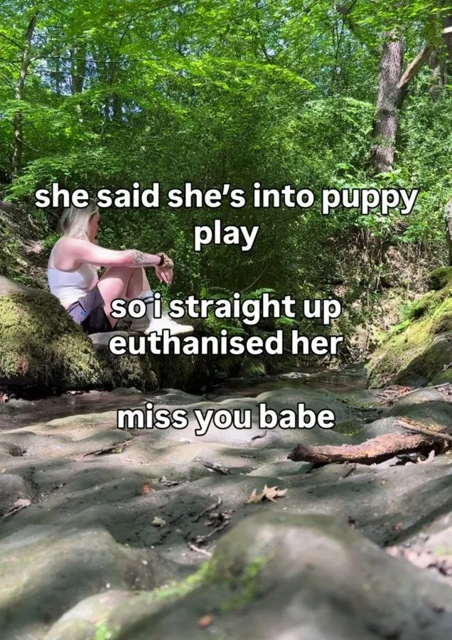 Untitled meme