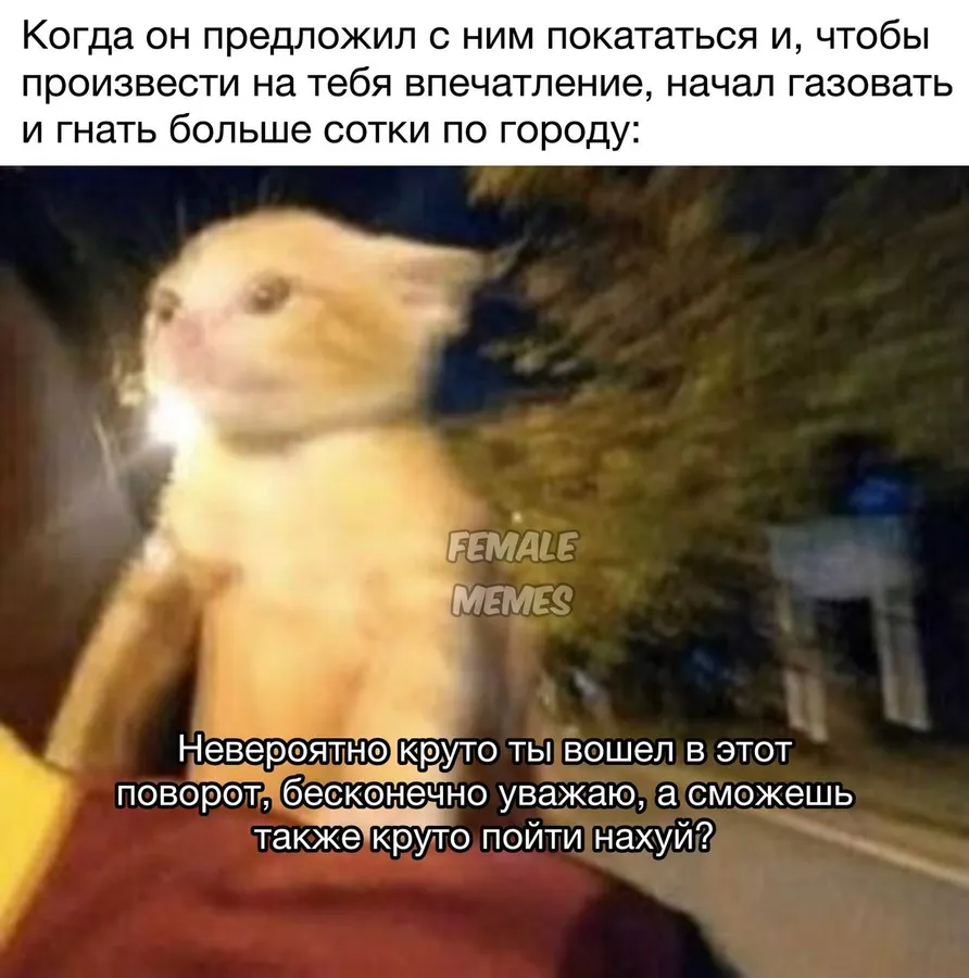 Untitled meme