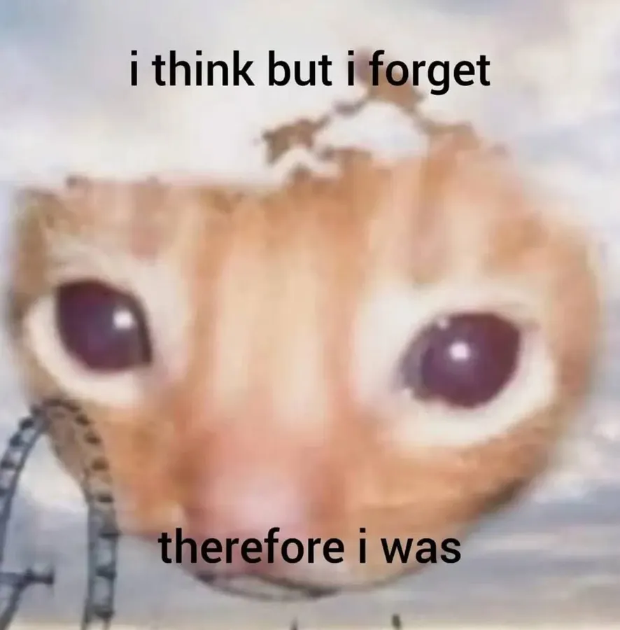 Untitled meme