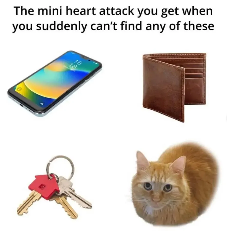 Untitled meme