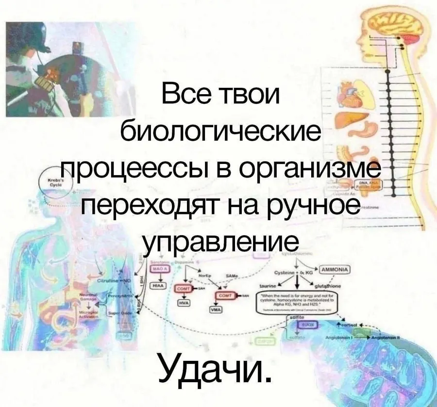 Untitled meme