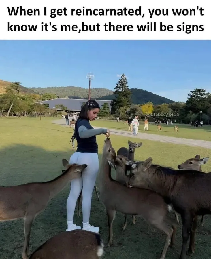 Untitled meme