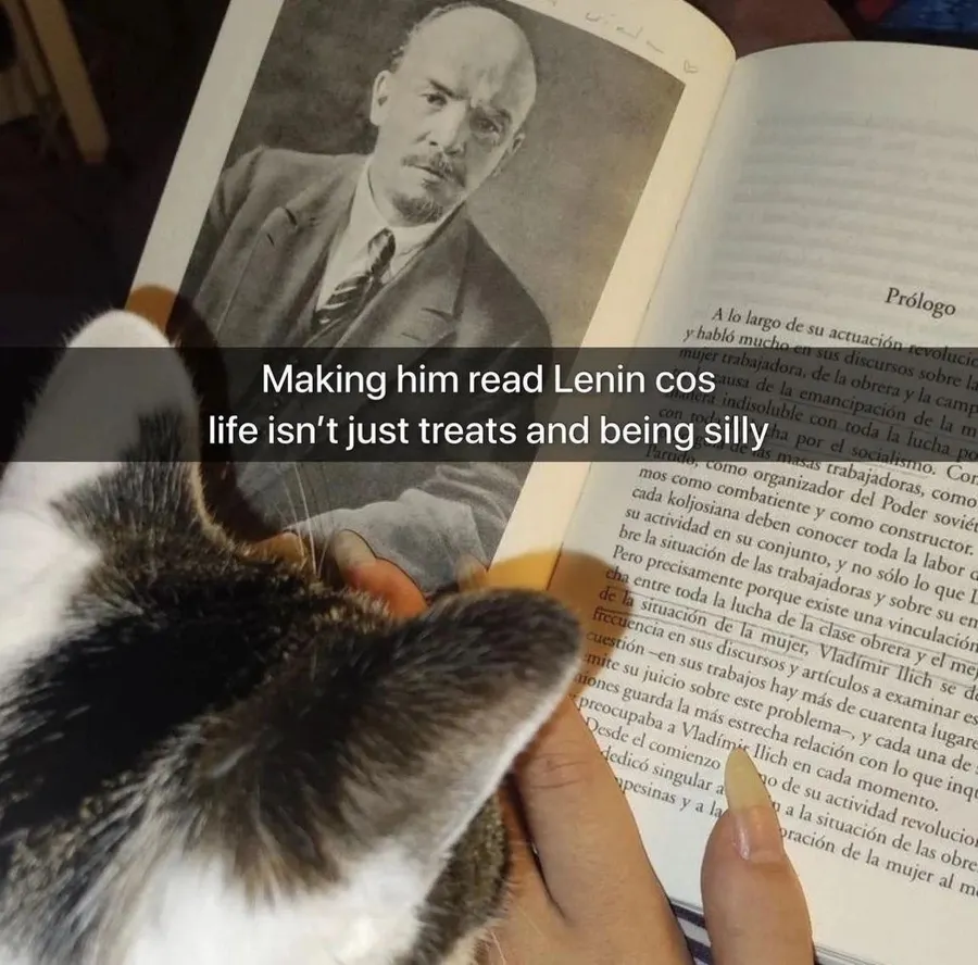 Untitled meme