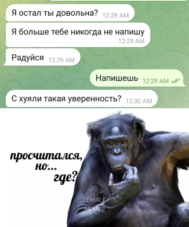 Untitled meme