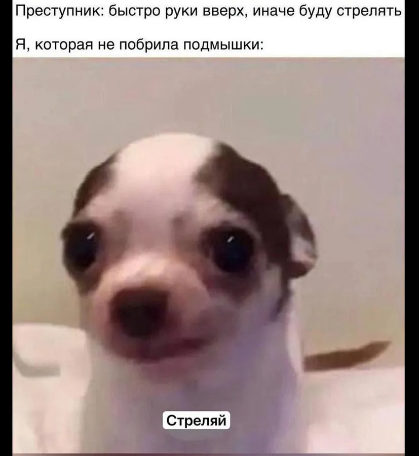 Untitled meme