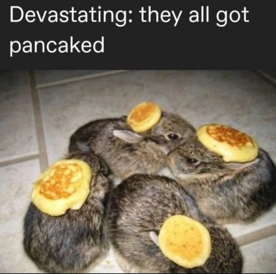 Untitled meme