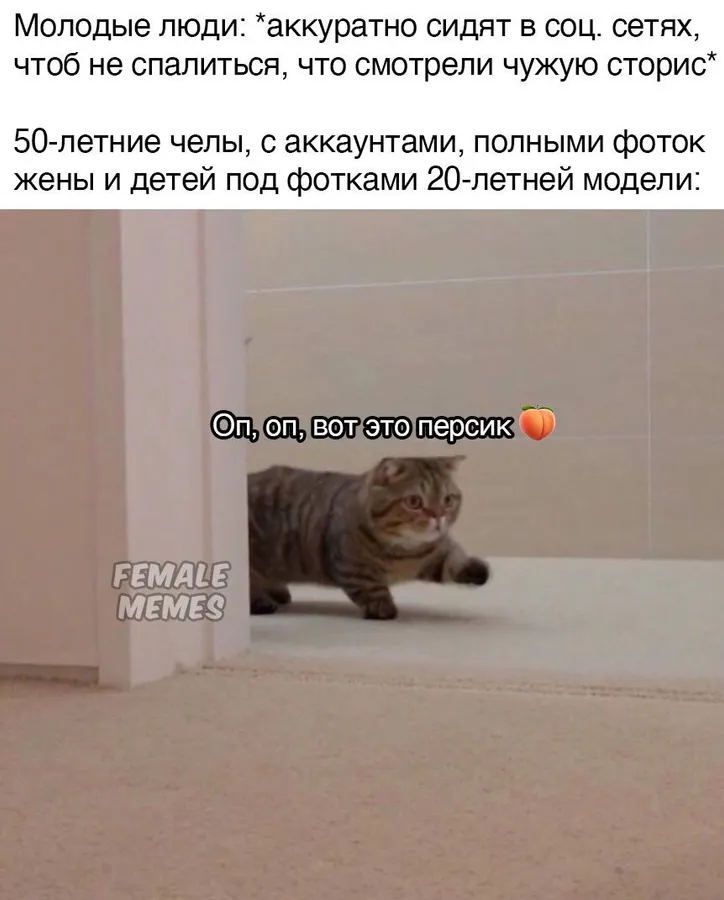 Untitled meme
