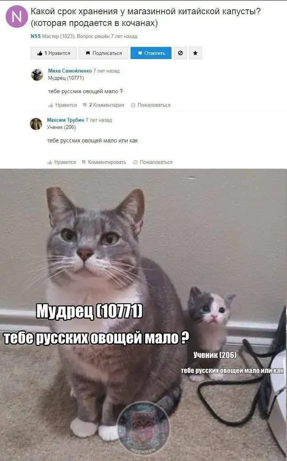 Untitled meme