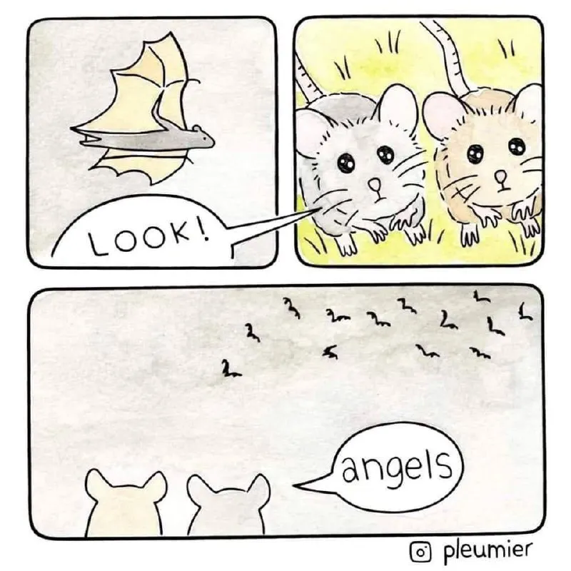 Untitled meme