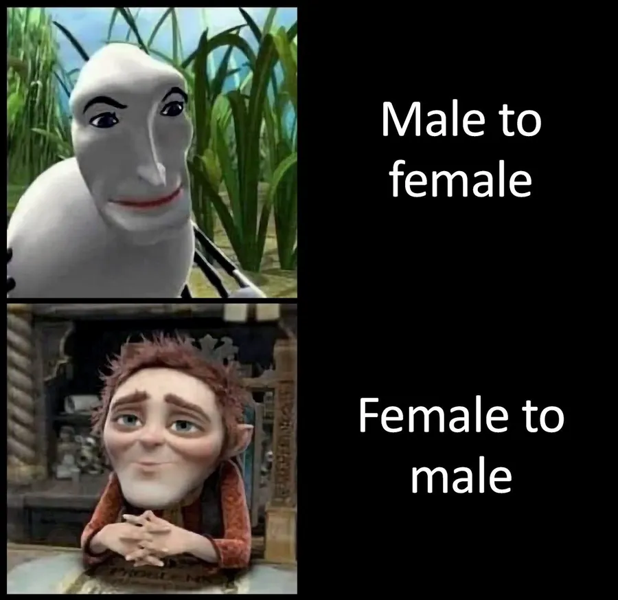 Untitled meme