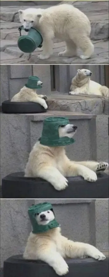 Untitled meme