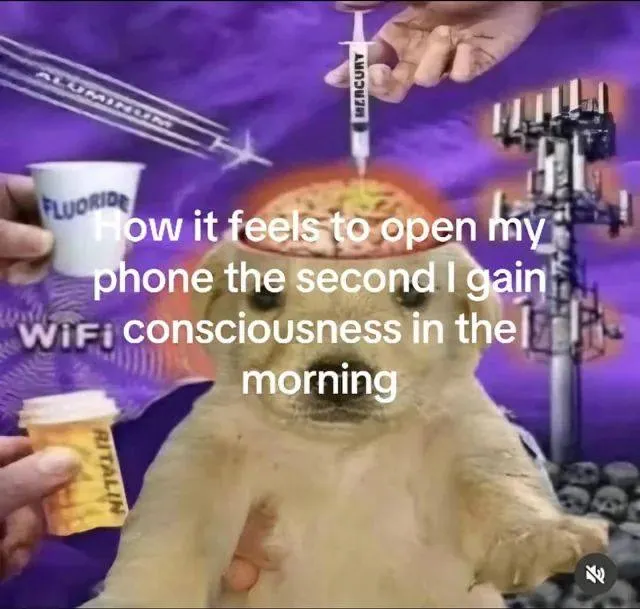 Untitled meme