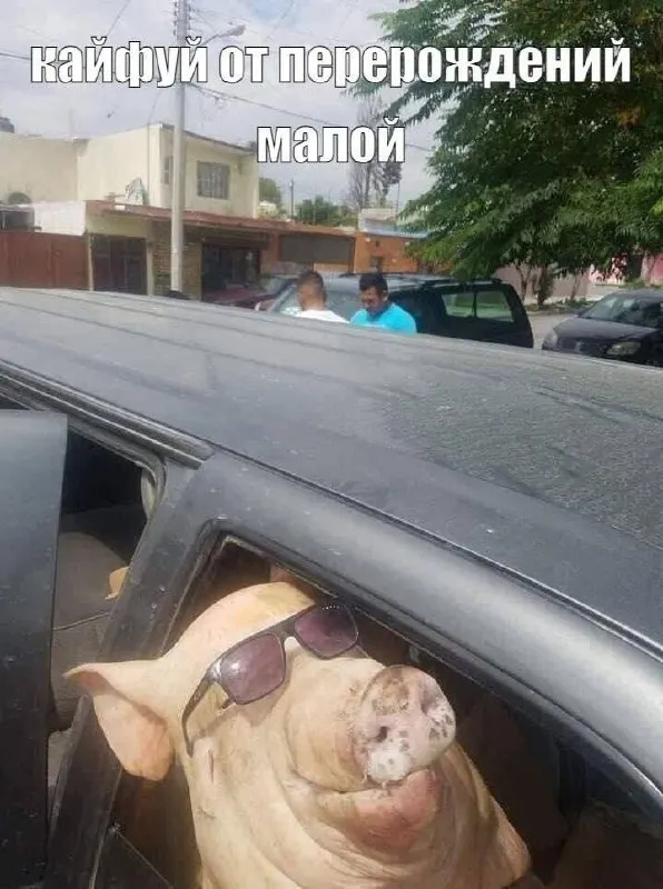 Untitled meme