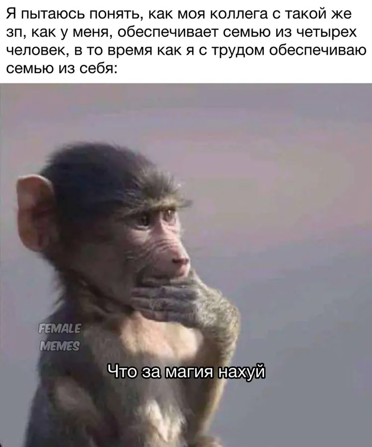Untitled meme