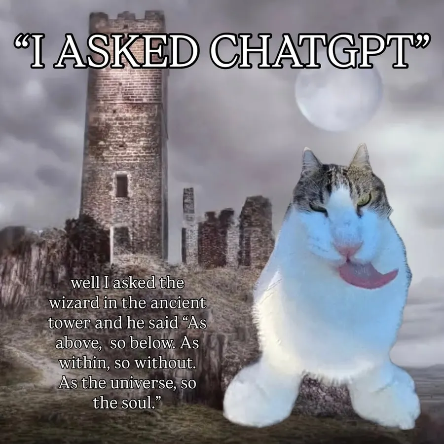 Untitled meme