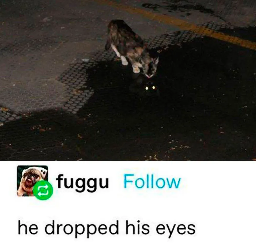 Untitled meme