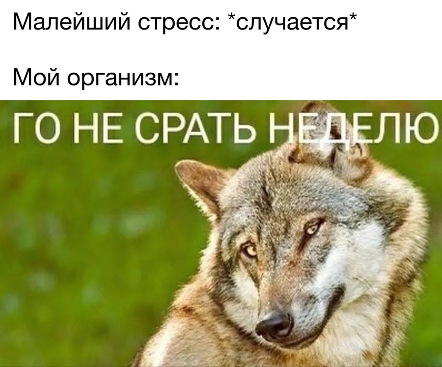 Untitled meme