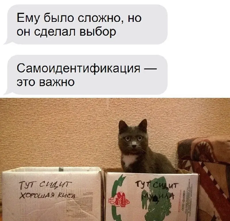 Untitled meme